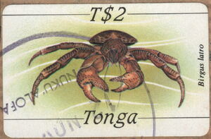 Coconut Crab (Birgus latro)