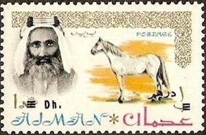 Sheik Rashid and Arabian Horse (Equus ferus caballus)