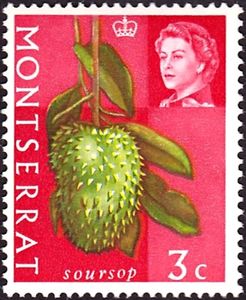 Soursop