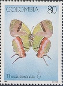 Crowned Hairstreak (Thecla coronata)