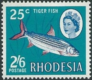 Tigerfish (Hydrocynus lineatus)