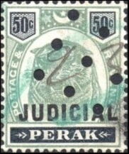 Tiger (Panthera tigris)