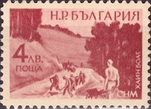 Path Construction on Chajnboac Pass