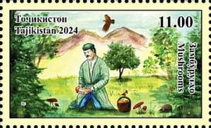 Gathering Mushrooms in Forest