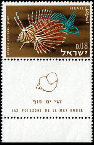 Red Lionfish (Pterois volitans)