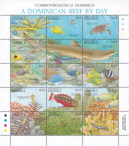 A Dominican Reef By Day