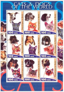 Cats & Dogs of the World