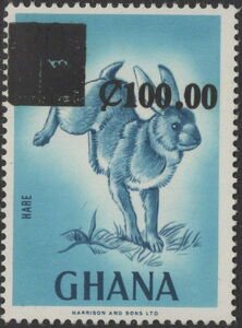 Cape Hare (Lepus capensis) - surcharged