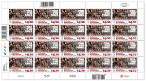 For The Fans : Spectators