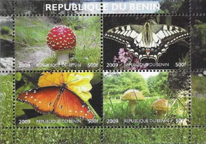 Butterflies and Mushrooms