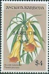 Yellow Oleander - Overprinted