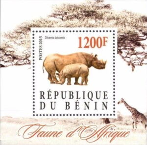 African Fauna (Diceros bicornis)