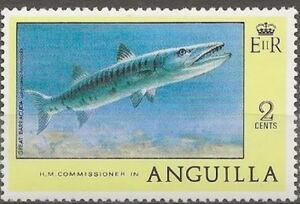 Great Barracuda (Sphyraena barracuda)