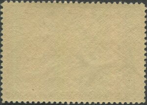 American wigeon (Anas americana)