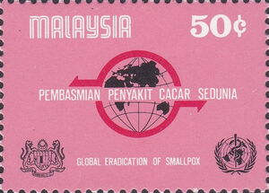 Global Eradication of Smallpox