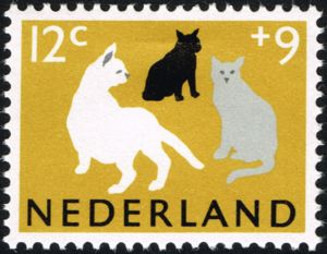 Cats (Felis silvestris catus)