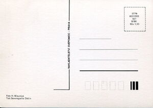 Happy New Year. Plate with fruits and nuts