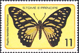 Veined Swordtail (Papilio leonidas ssp. thomasius)