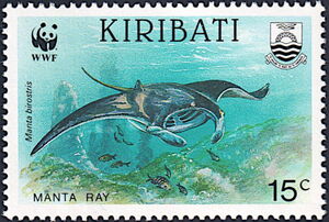 Giant Oceanic Manta Ray (Manta birostris)