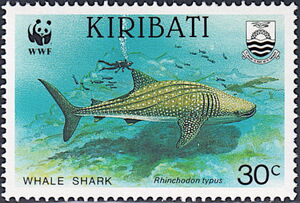 Whale Shark (Rhincodon typus)