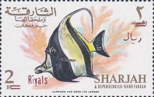 Moorish Idol (Zanclus cornutus)