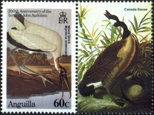 Wood Stork and Canada Goose