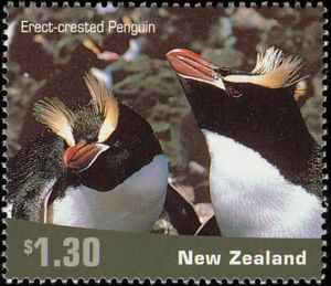 Erect-crested Penguin (Eudyptes sclateri)