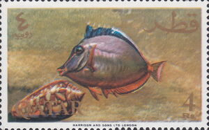 Orangespine Unicornfish (Naso lituratus)