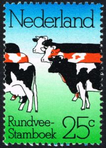 Cattle Breeds (Bos primigenius taurus)