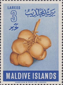 Coconuts