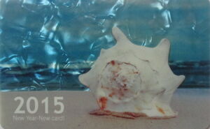New Year - New Card! Shell