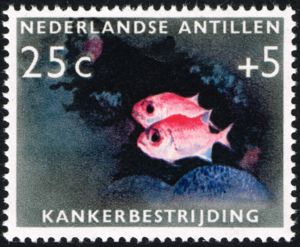 Common Squirrelfish (Holocentrus adscensionis)