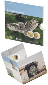 5 Euro (Athene noctua)