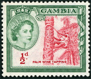 Tapping for Palm Wine