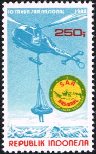 Search and Rescue Institute