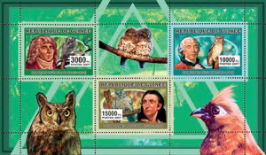 Ornithologists and Owls