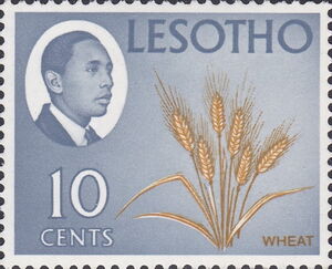 King Moshoeshoe II and Wheat