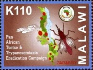 Pan-African Tsetse & Trypasonomiasis Eradication Campaign