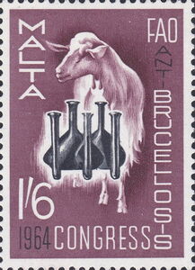 Goat and Laboratory Equipment
