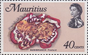 Spanish Dancer (Hexabranchus marginatus)