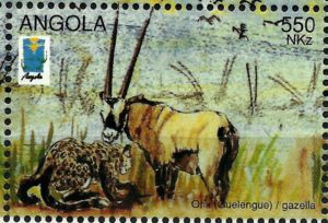 Leopard (Panthera pardus) and Gemsbok (Oryx gazella)