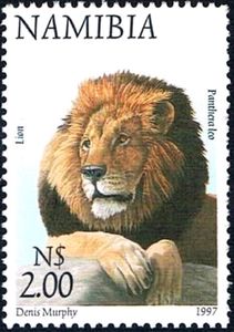 Lion (Panthera leo)