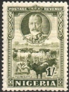 Fulani Cattle (Bos primigenius indicus)