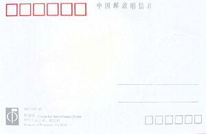 Camelus bactrianus ferus