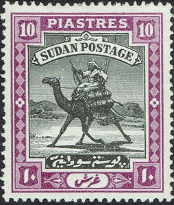 Postman with Dromedary (Camelus dromedarius)