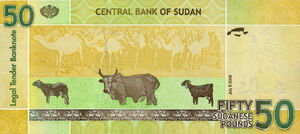 50 Sudanese Pounds