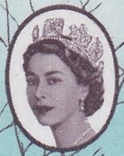 Greater Kudu (Tragelaphus strepsiceros)