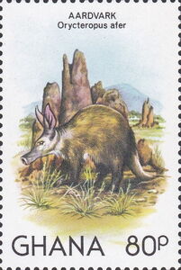 Aardvark (Orycteropus afer)