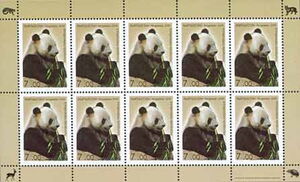 Giant Panda (Ailuropoda melanoleuca)