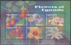 Flowers of Uganda